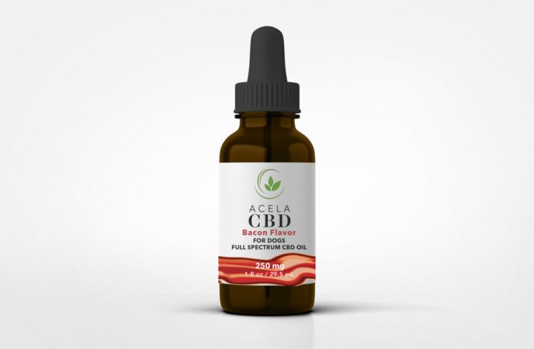 Can CBD Oil Be Reliable For Your Dogs?