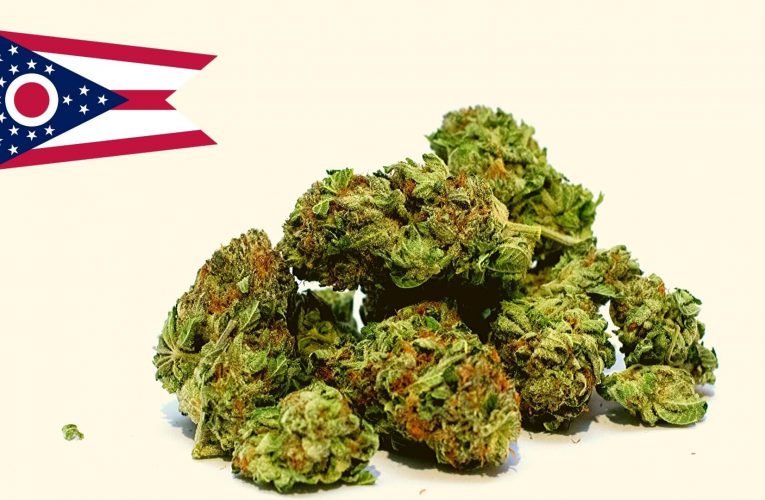 What To Do With Best Cbd Flower? Find Here
