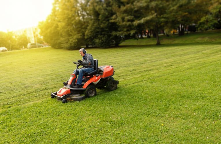 Which Is the Best Lawn Mower for Quick Yard Maintenance?