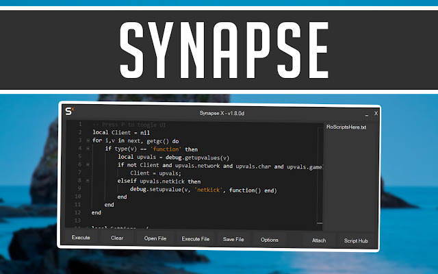 Everything You Must Know About the Synapse X Website